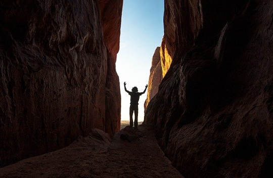 Our Choice: Living from Fear and the Lower Brain...Or Thriving with the Higher Brain Our Choice: Living from Fear and the Lower Brain...Or Thriving with the Higher Brain